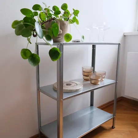 Gemuetliche 2-zimmer-altbauwohnung Munich